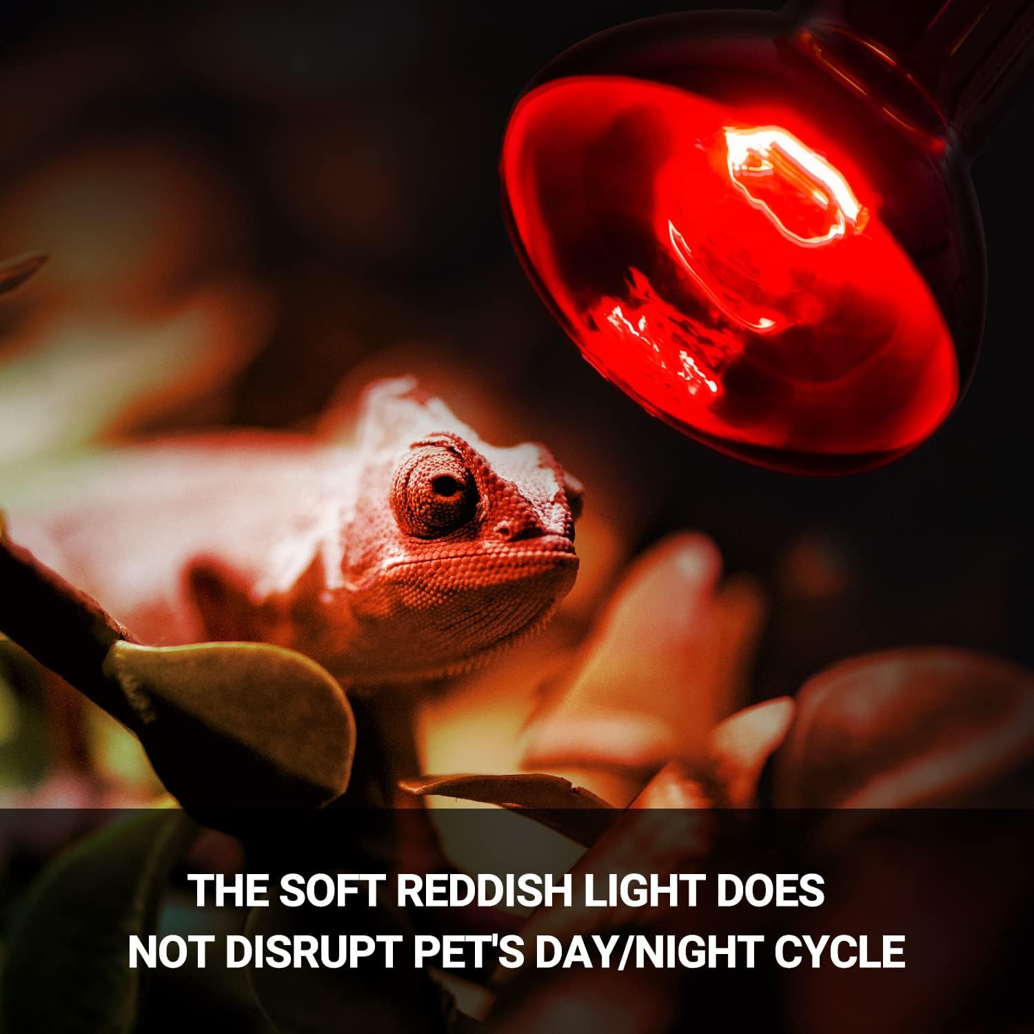 REPTI ZOO 75 Watts daylight basking bulb highlighting the premium glass construction.