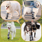 Side profile of dog wearing gray recovery boots