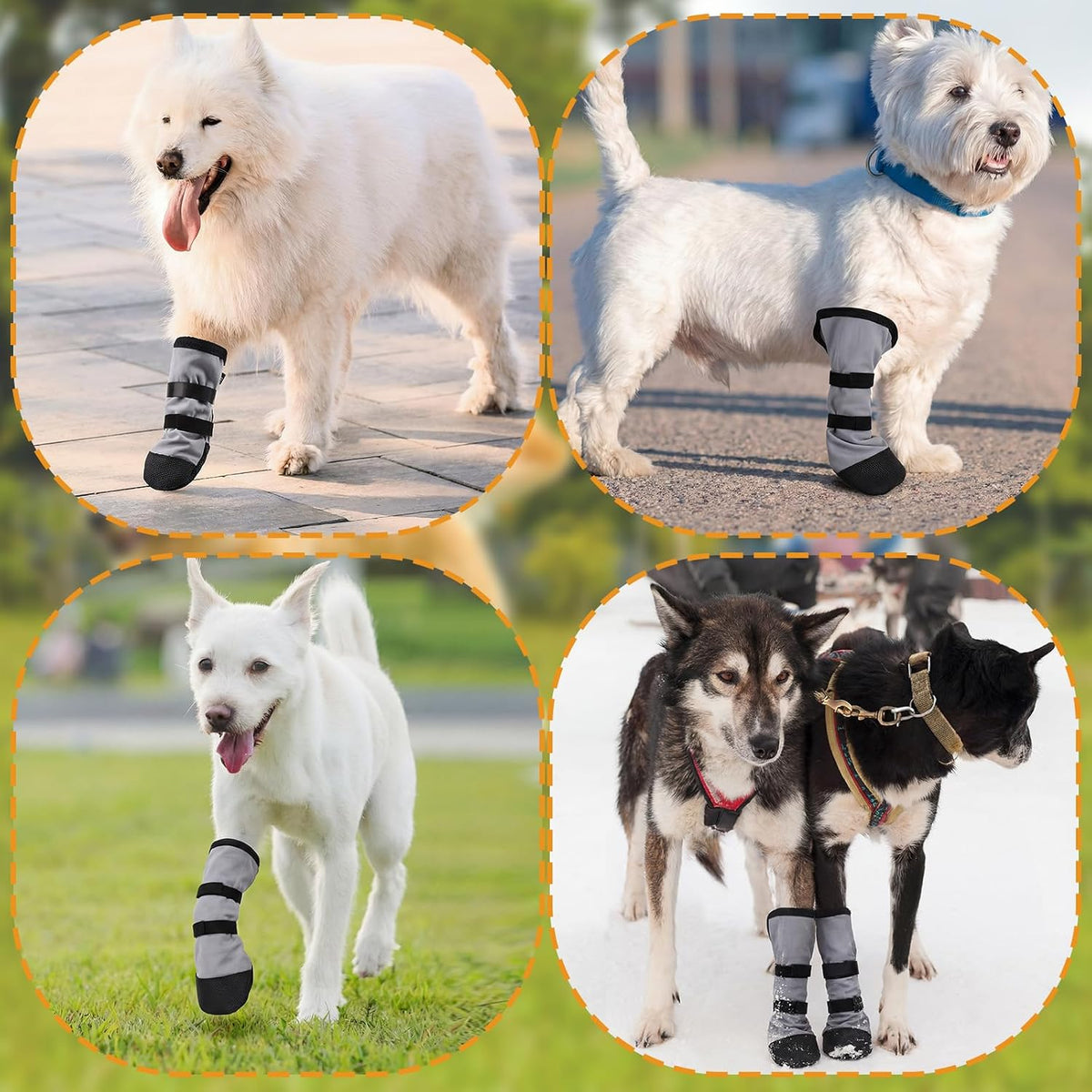Side profile of dog wearing gray recovery boots