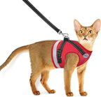 Cat Harness and Leash for Walking, Kitten Escape Proof Harnesses, Adjustable Reflective Puppy Harness with Leashes Set, Easy Adjustable Soft net Breathable Pet Safety Vest XS (Chest: 6" - 8") Black - Image 11