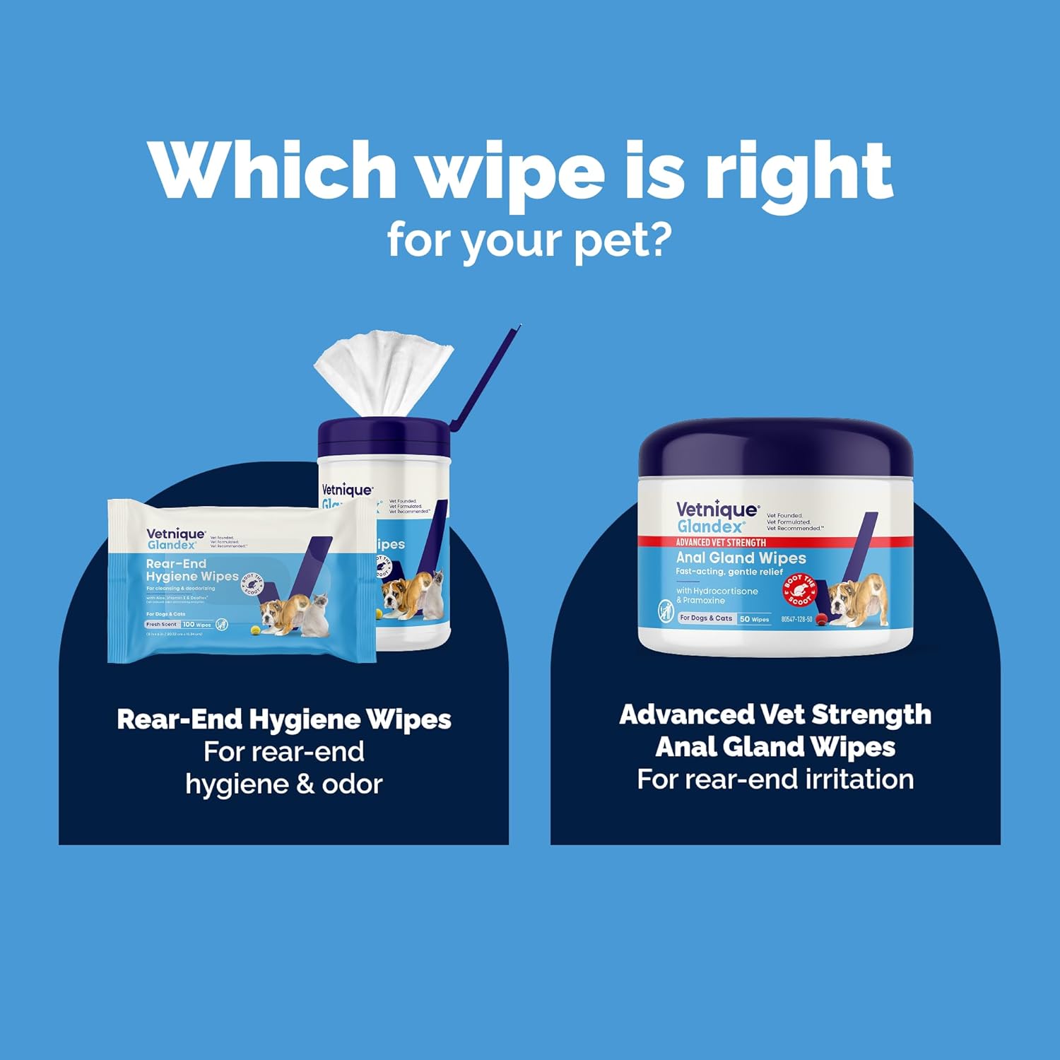 Back label of Vetnique Glandex medicated wipes showing instructions and ingredients for soothing inflamed glands.