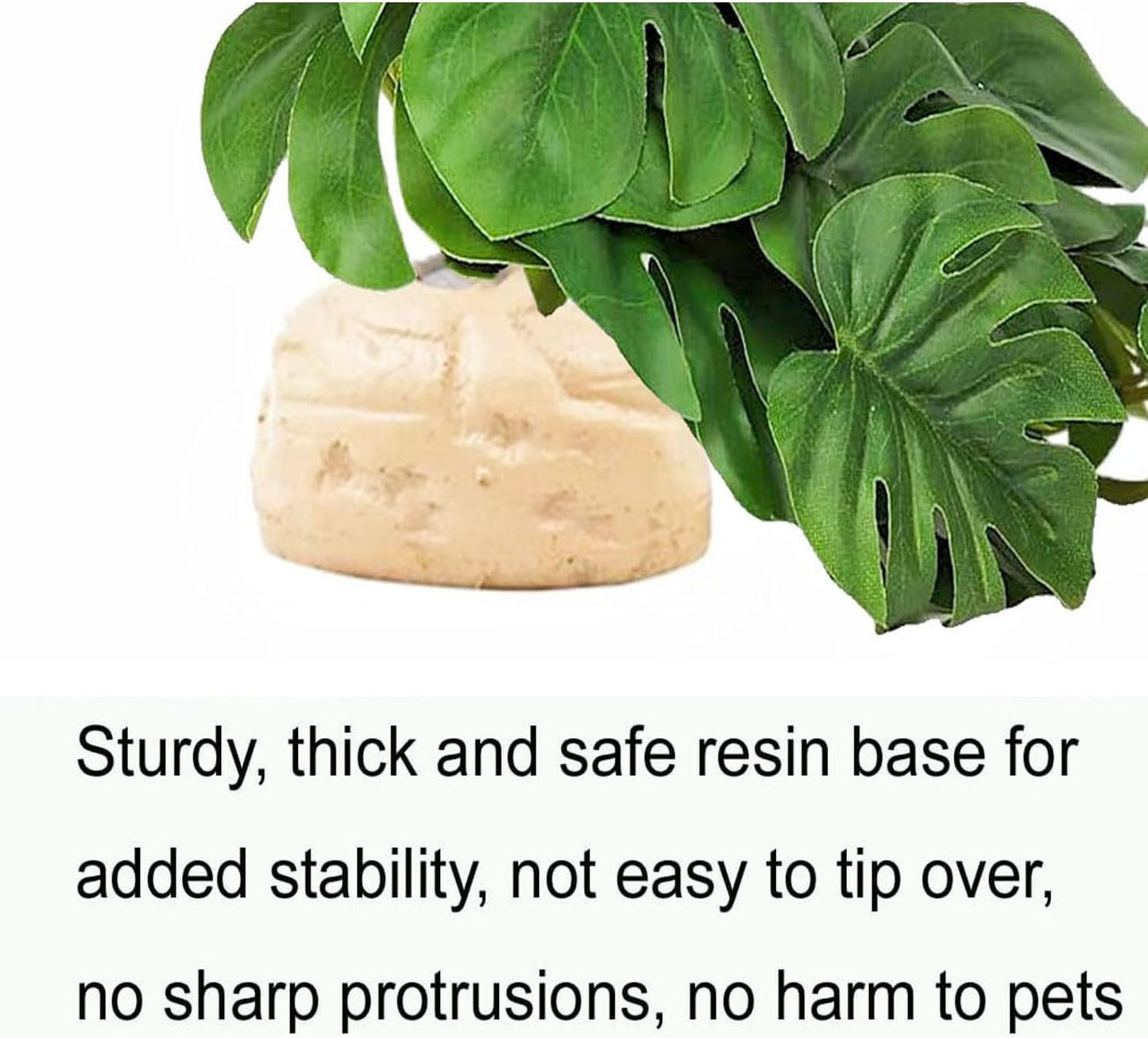Close up of realistic green leaves on Keruideng terrarium plant