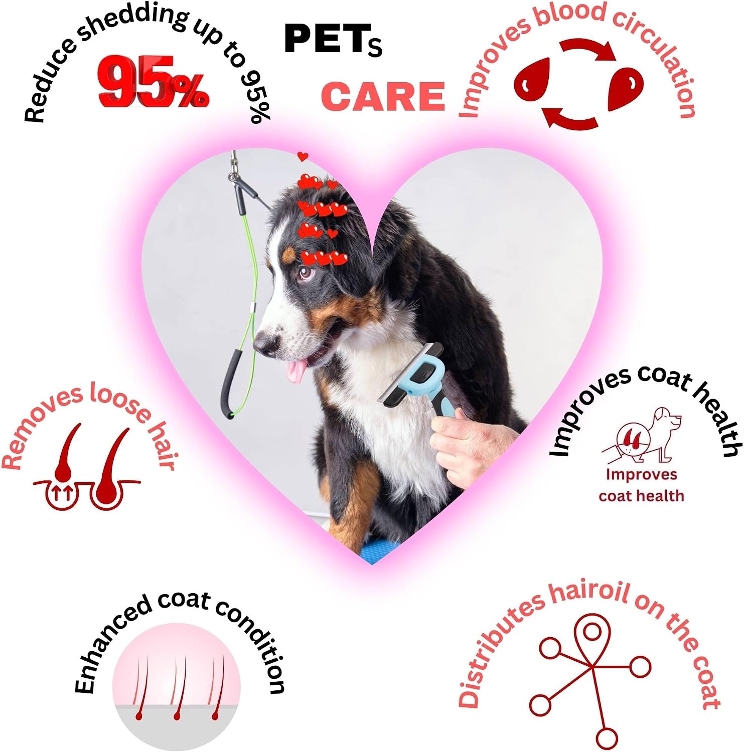 Detachable self cleaning head of the blue dog grooming tool