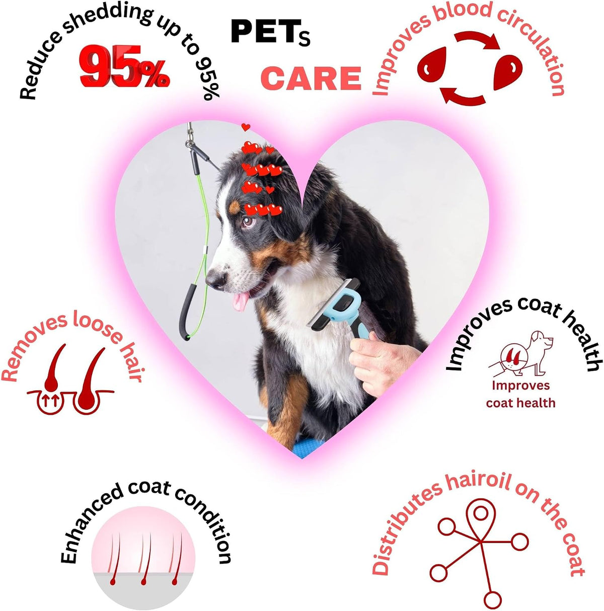 Detachable self cleaning head of the blue dog grooming tool