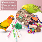 Parakeet playing with Katumo seagrass shredding basket toy