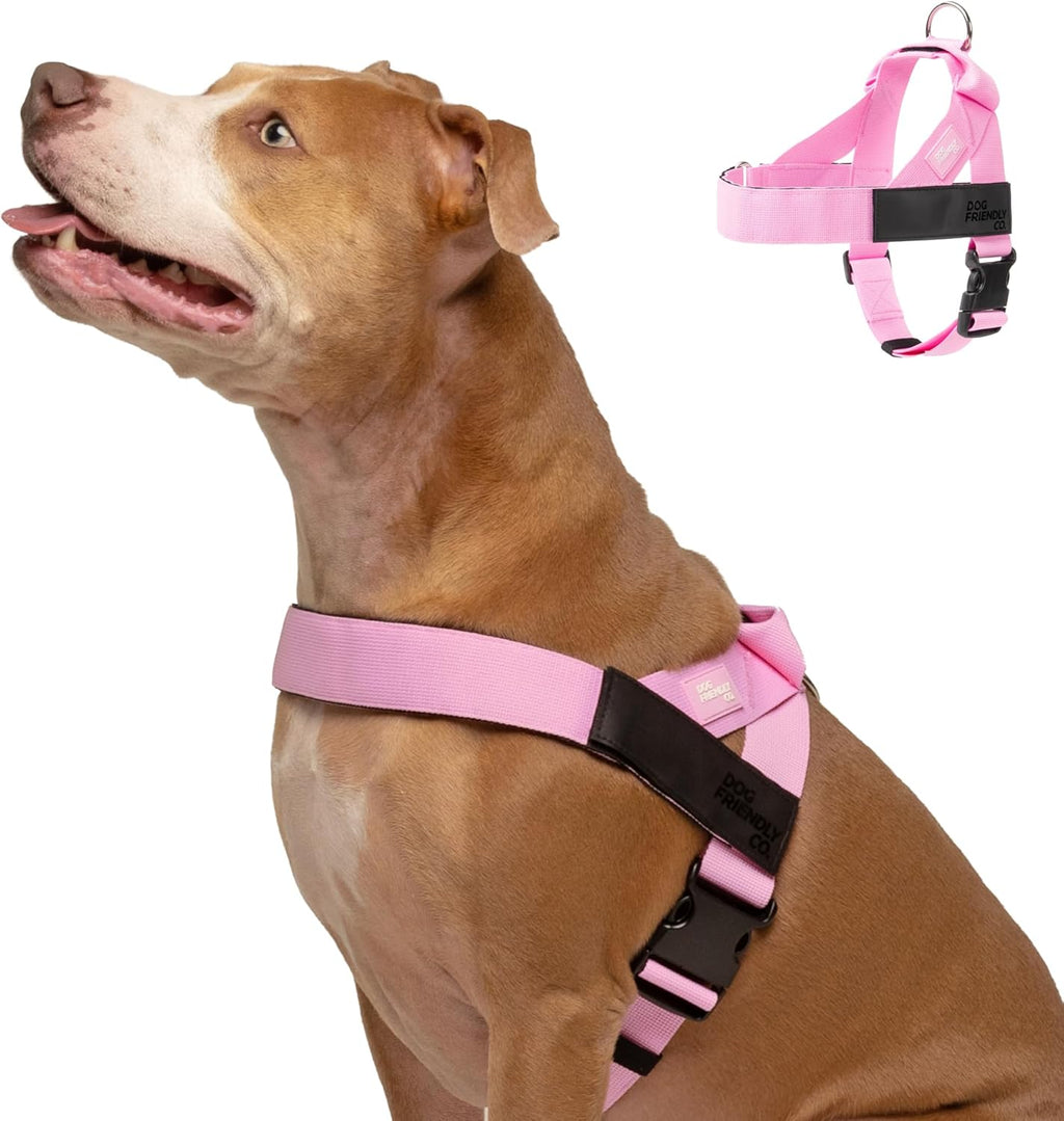 Dog Friendly Co Dog Harness Pink Large front view on a dog