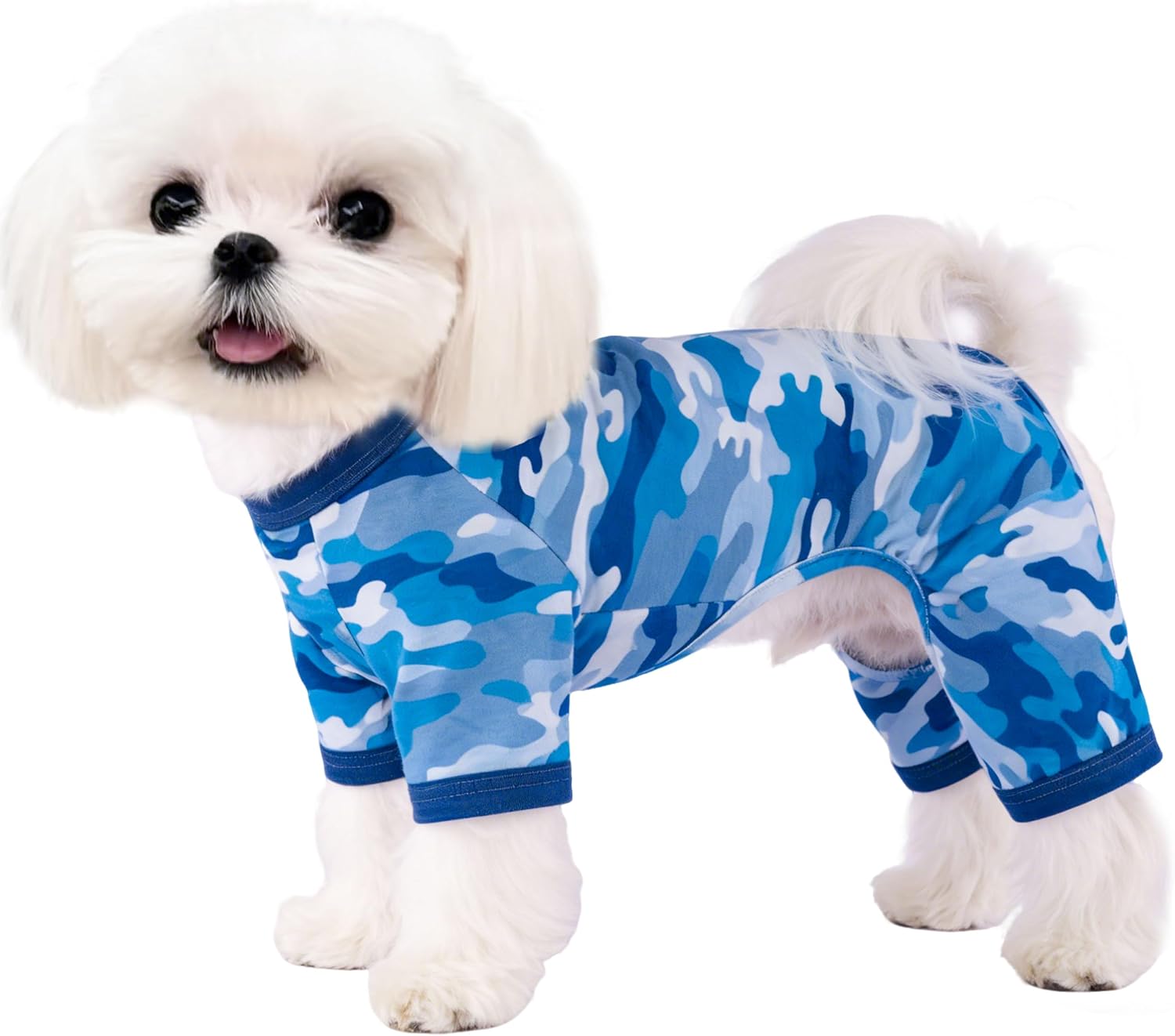 Comfortable indoor pet clothes for spring season