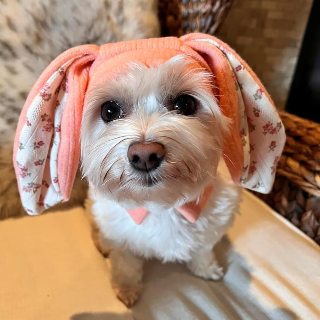 BeFirst Rabbit Quiet Ears small pink dog hat front view