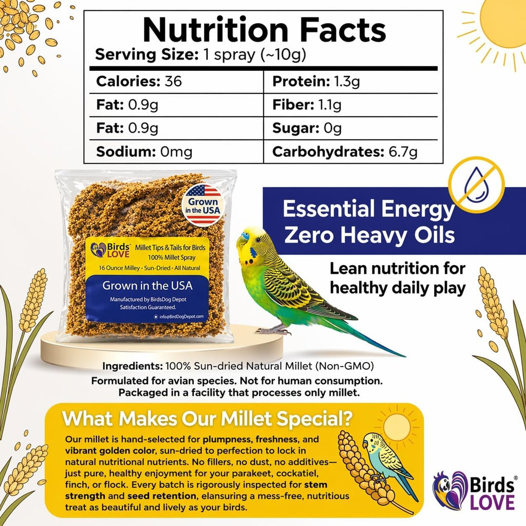 Healthy foraging activity snack for small cage birds