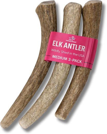 Onward Hound Elk Antlers for Dogs, 6 Inch+ Medium Whole Dog Antler Chew, Natural Long Lasting Dog Chew for Aggressive Chewers, Single Ingredient, Low Odor No Greasy Mess, Made in USA, 1-Pack - Image 10