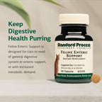 Standard Process whole food nutritional supplement tablets for cat digestive health