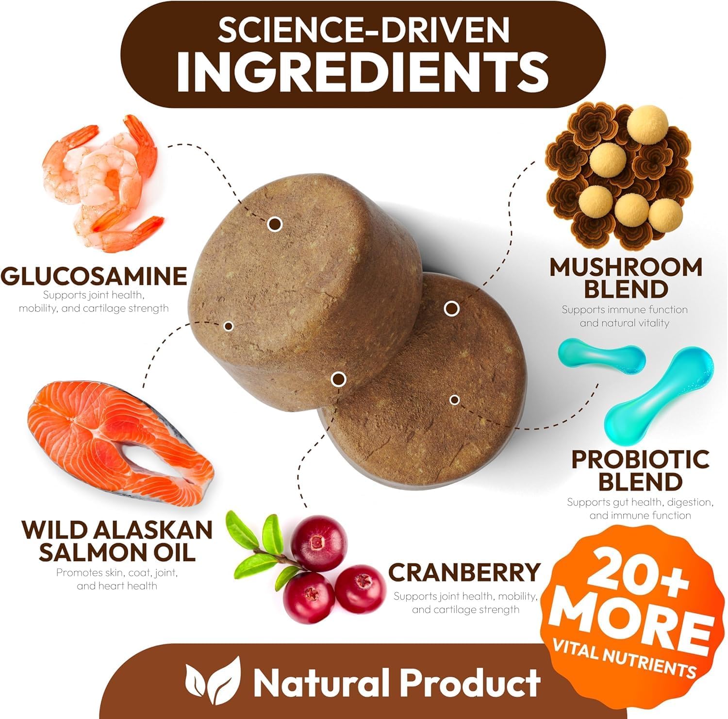 Back label of Petsology dog multivitamin soft chews displaying ingredients including glucosamine and probiotics.