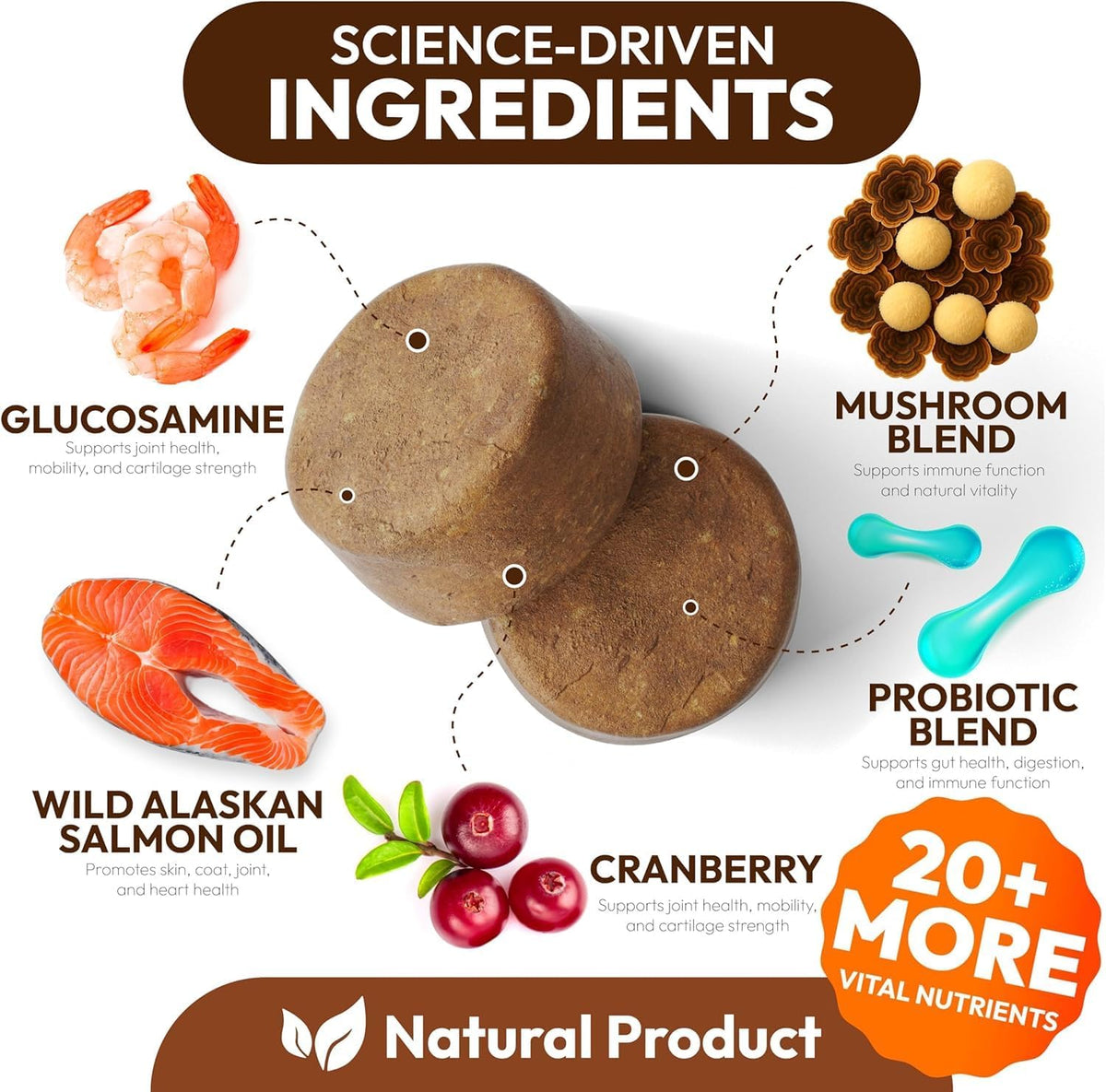 Back label of Petsology dog multivitamin soft chews displaying ingredients including glucosamine and probiotics.