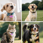 DearKeeps premium pet collar charms for wildlife protection and safety tracking