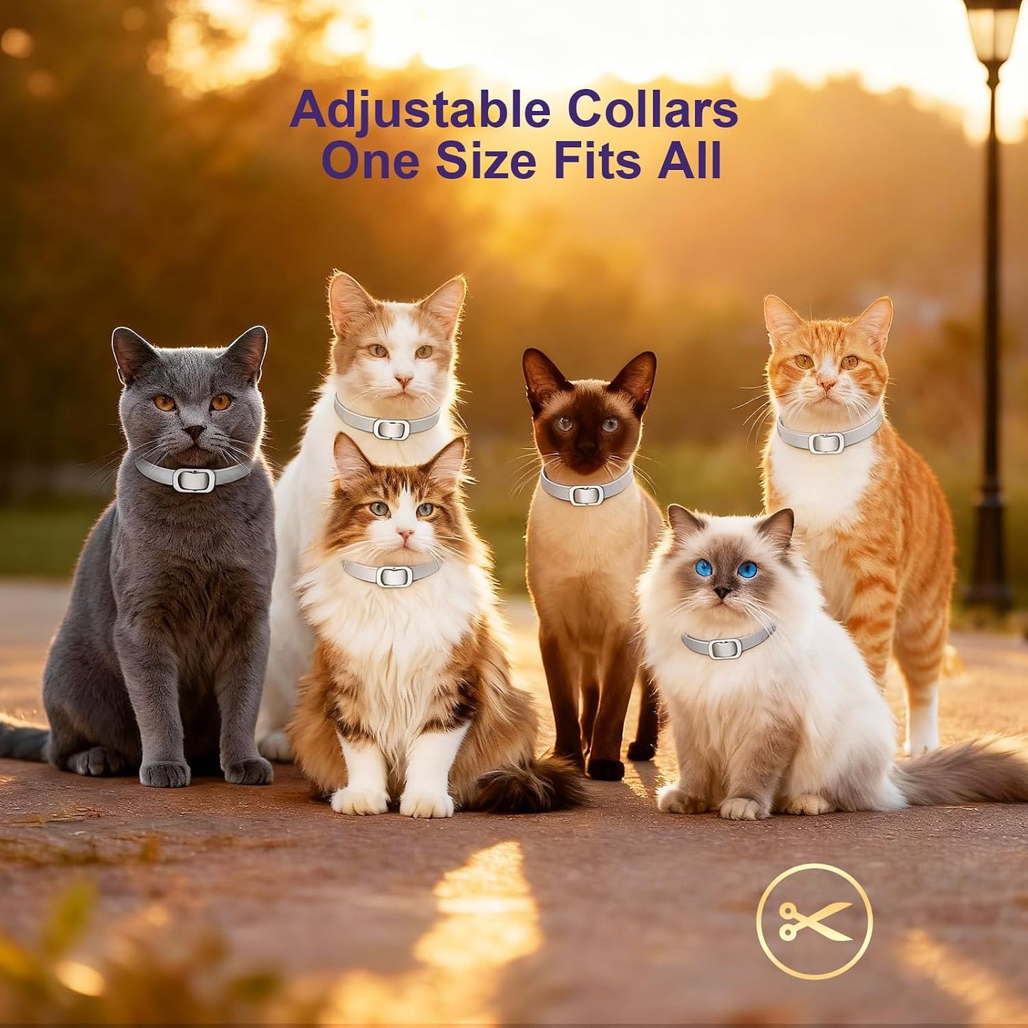 Natural essential oil cat flea collar botanical ingredients