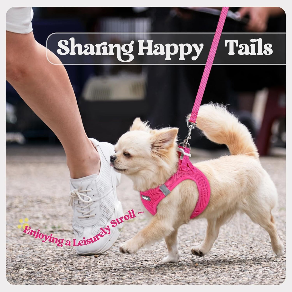 rabbitgoo Dog Harness Small Sized and Leash Set, Step in Soft Light Puppy Vest, Breathable Mesh Pet Harness, Reflective for Safe Easy Walking, Rose Red S - Image 9