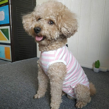 Close up of soft breathable fabric on Kukaster Pet dog suit
