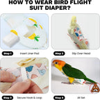 Top view of QBLEEV parrot diaper showing tail opening design