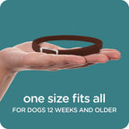 Product label details for Sergeant's Guardian dog collar