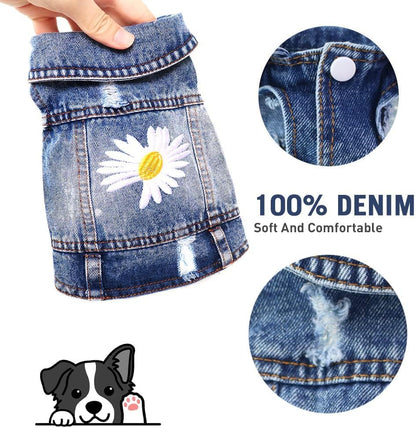 Pawstrip pet jean vest back view displaying the embroidered white daisy details and distressed ripped design