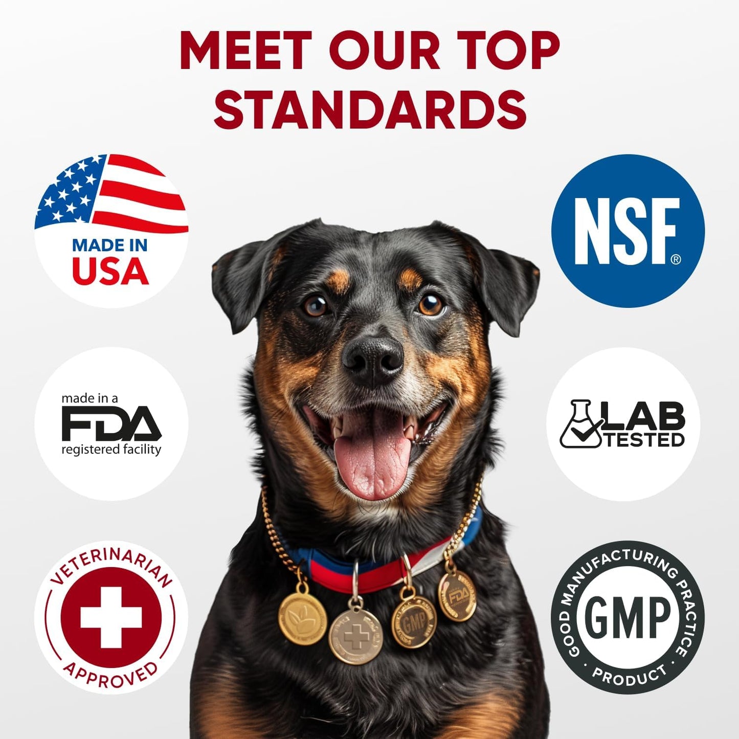 Pawzitive Pets premium USA imported dog digestive aid soft chews close up