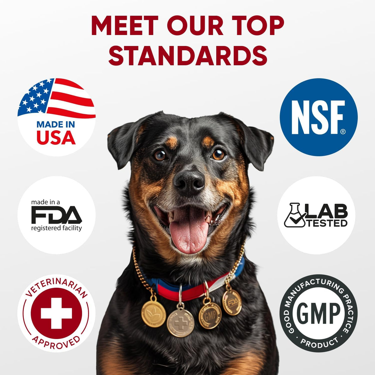 Pawzitive Pets premium USA imported dog digestive aid soft chews close up