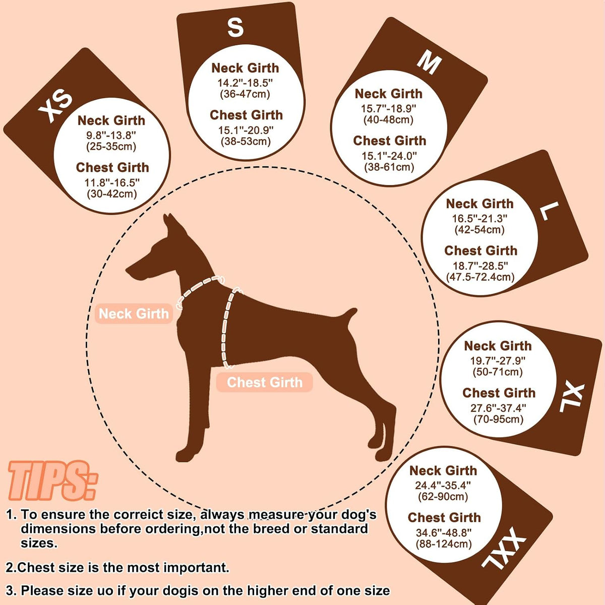 Durable polyester oxford pet life jacket close up buckles
