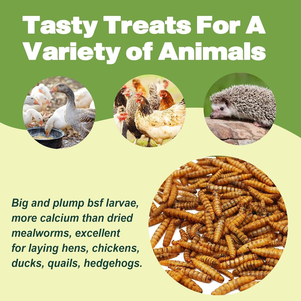 High protein poultry treat container open view