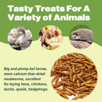 High protein poultry treat container open view