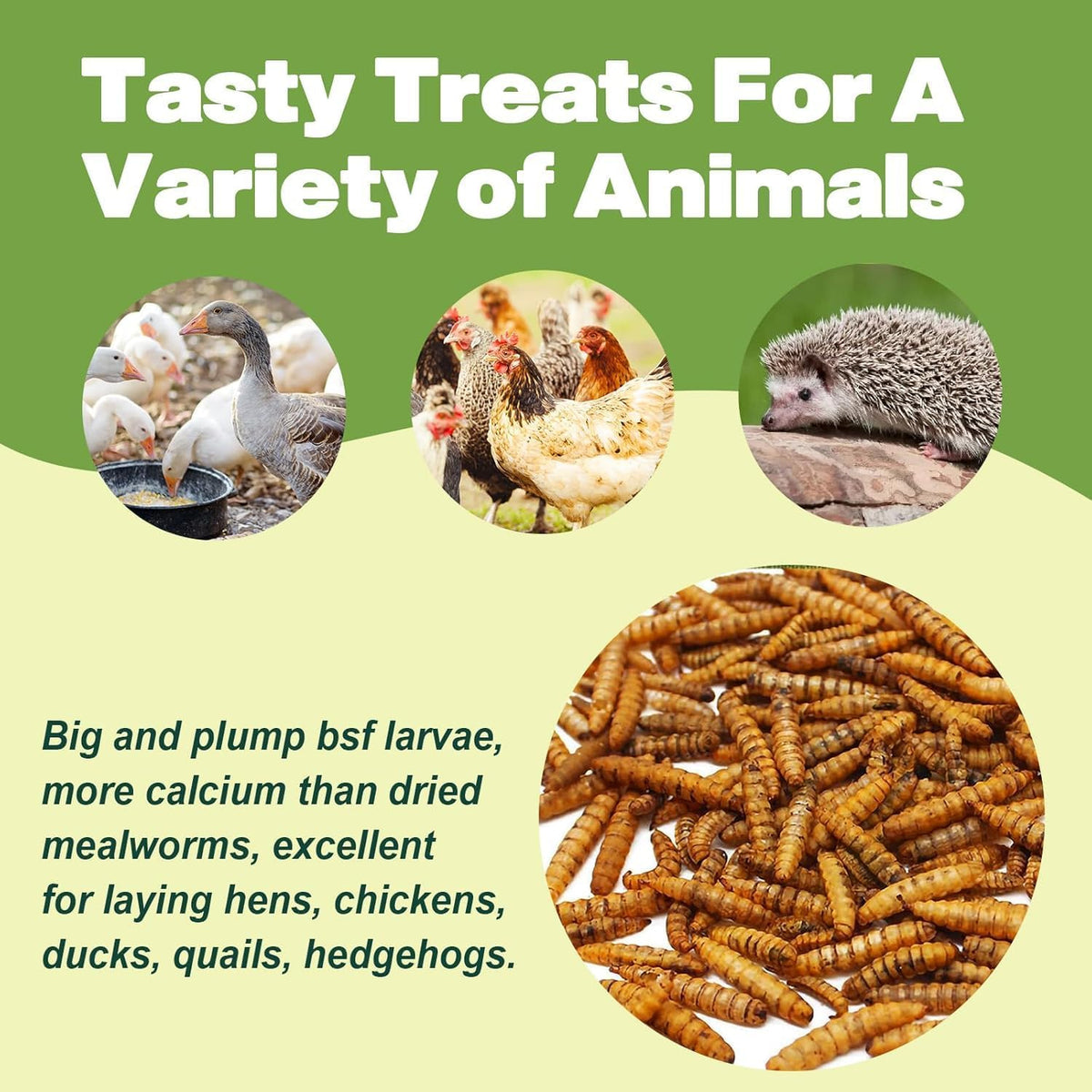 High protein poultry treat container open view