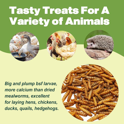 LIWII high calcium reptile and amphibian food dried insect treats