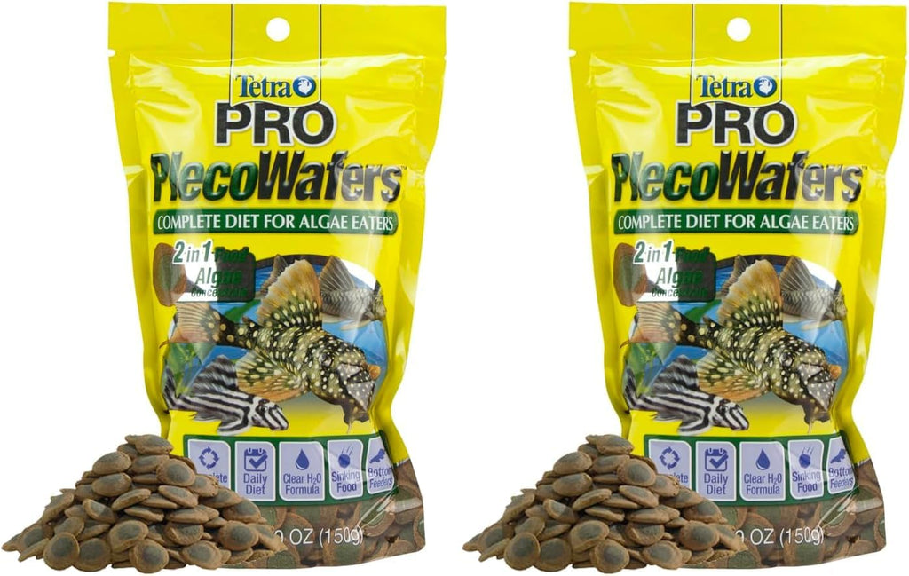 Aquarium bottom feeders eating Tetra fish food wafers