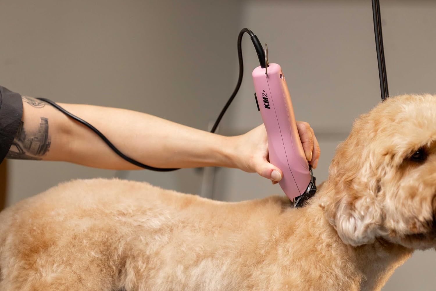 Complete Wahl Professional KM2 Plus clipper set showing premium pet grooming accessories