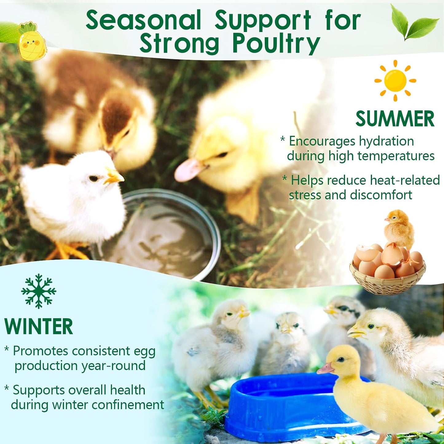 Scoop measurement view of Yakucho flock hydration and immunity powder