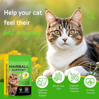 ReliCo chicken flavored cat hairball remedy supplement container