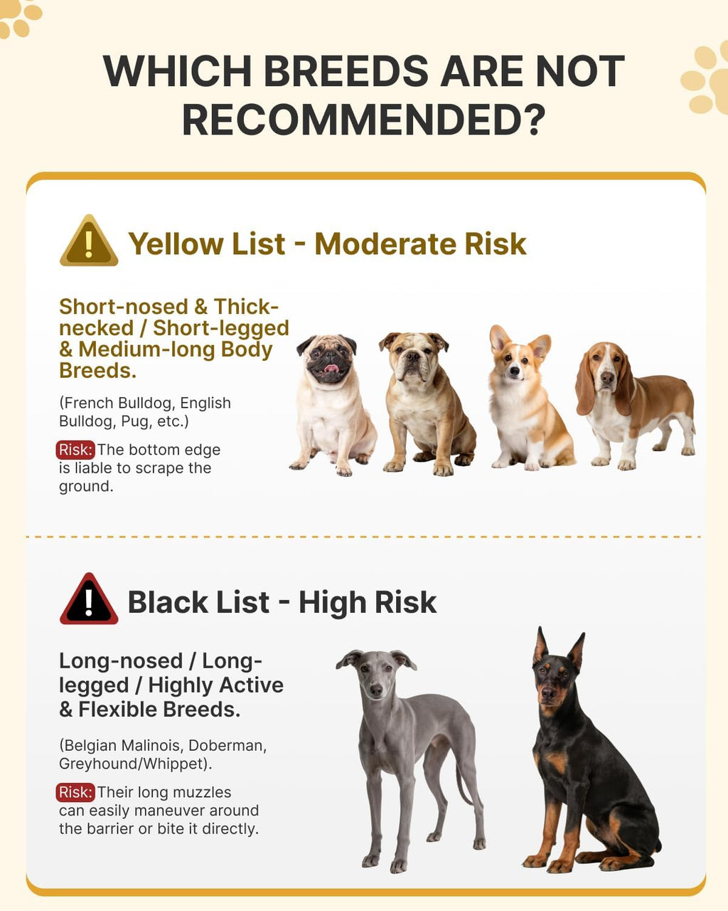 Comparison of Midog inflatable collar versus standard plastic cone