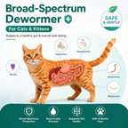 Xaviro feline worm suspension active ingredients label showcasing praziquantel and pyrantel pamoate