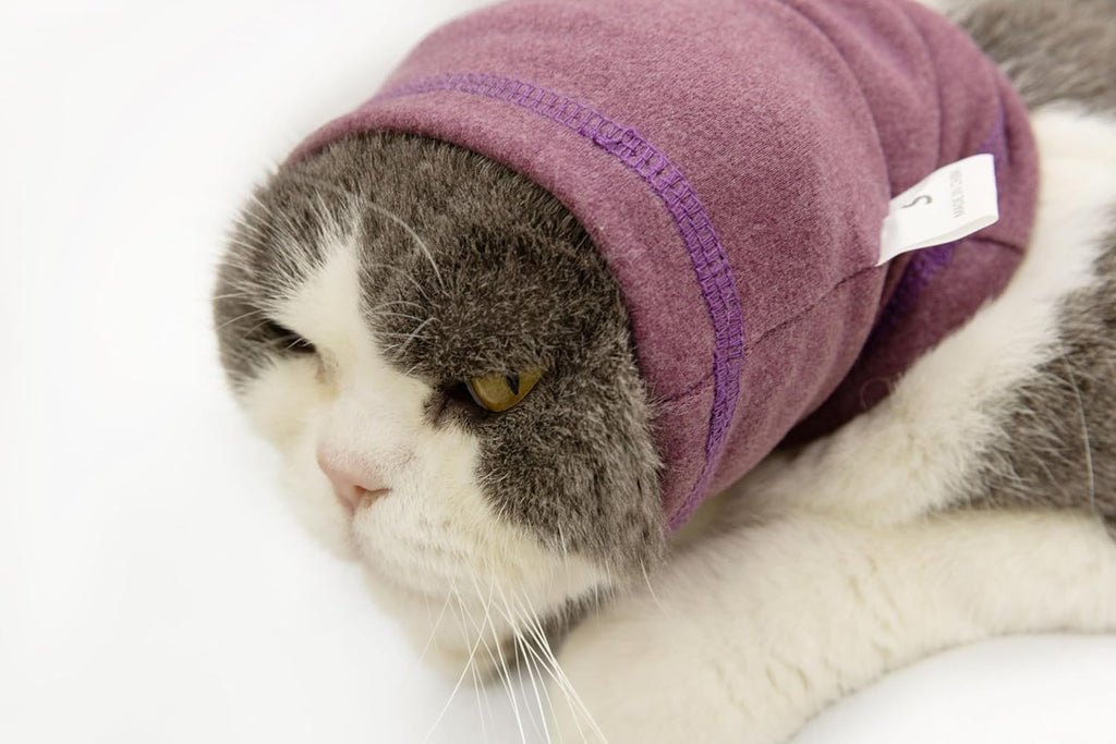 2 Pack Cat Ear Wrap, Anxiety Ear Cover Hematoma Compressionp Cat Snood for Grooming Blue+Grey S - Image 15