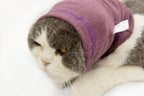 2 Pack Cat Ear Wrap, Anxiety Ear Cover Hematoma Compressionp Cat Snood for Grooming Blue+Grey S - Image 15