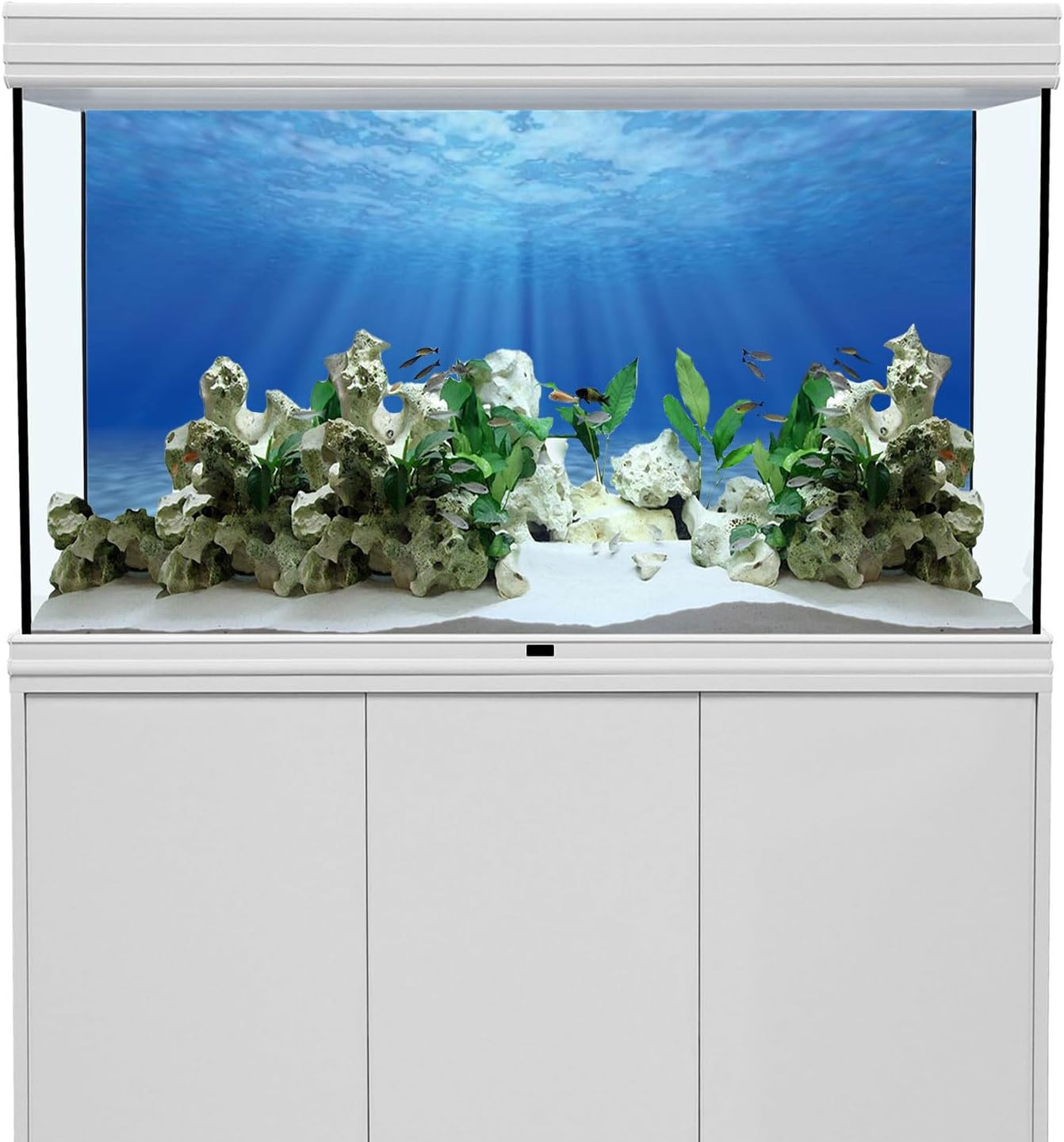 High definition polyester fish tank backdrop showcasing realistic tropical sea colors and detailed coral graphics.