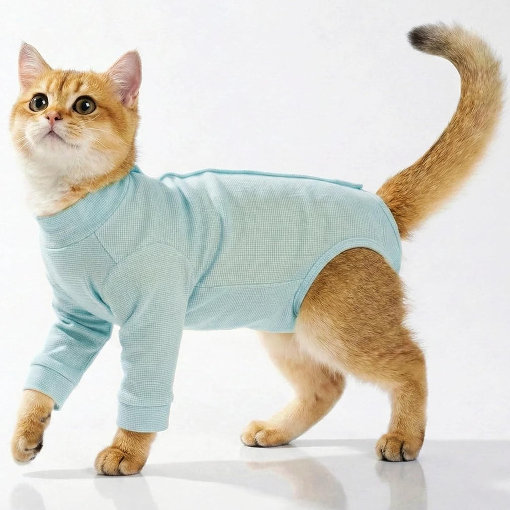 Close-up of breathable soft fabric on cat recovery shirt