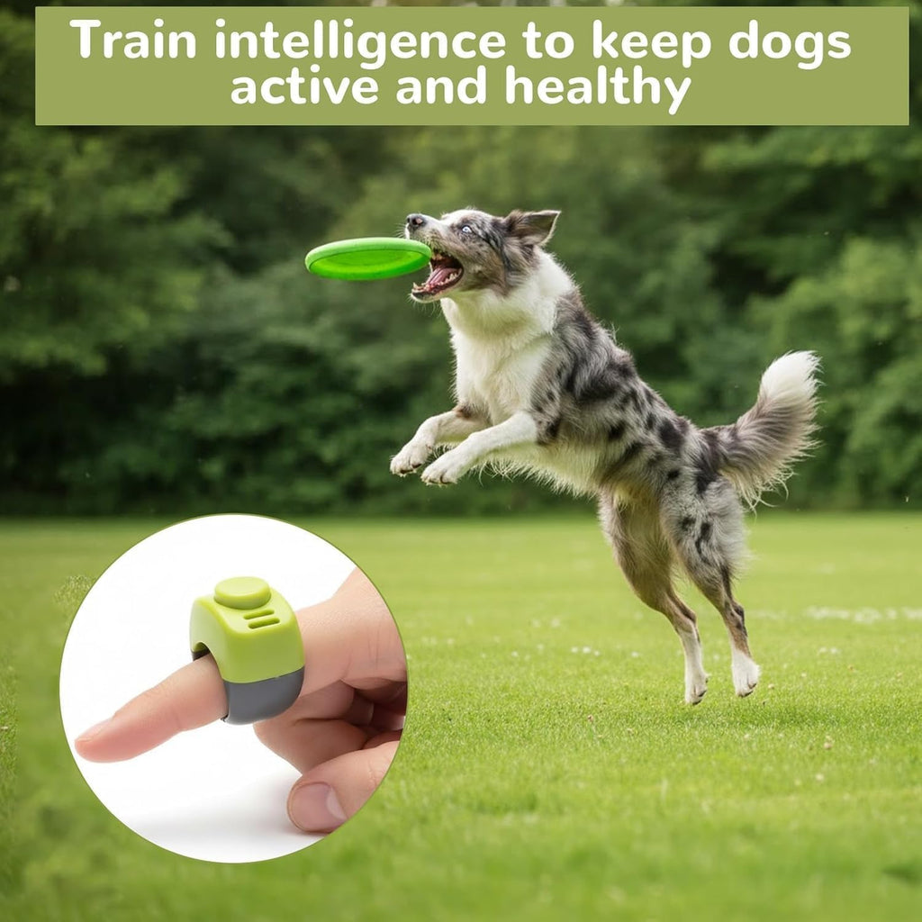 Generic animal training ring clicker emphasizing the nineteen millimeter and twenty-one millimeter sizing options.