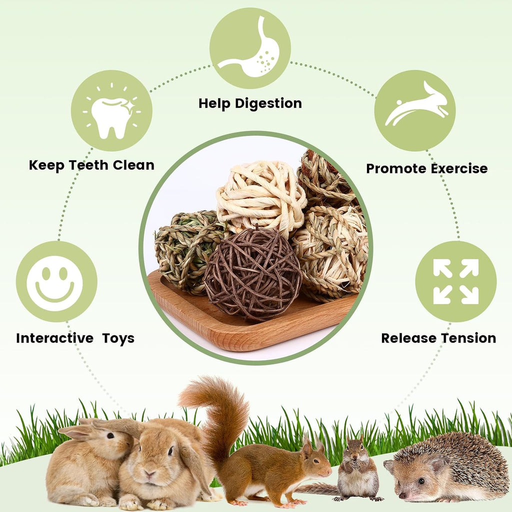 Timothy hay and corn husk chew toys set of 8