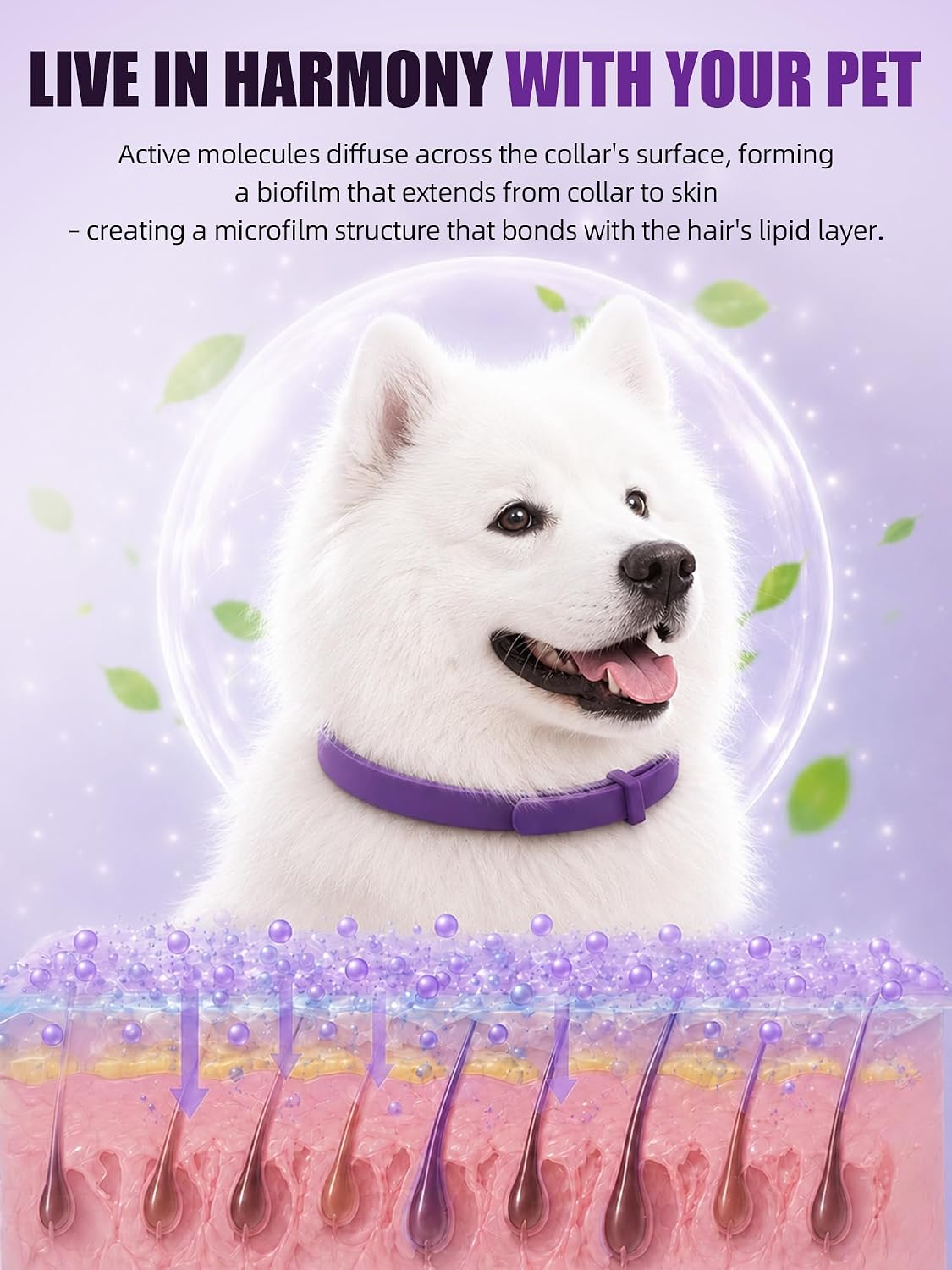 Stress relief collar for dogs helping with separation anxiety and loud fireworks