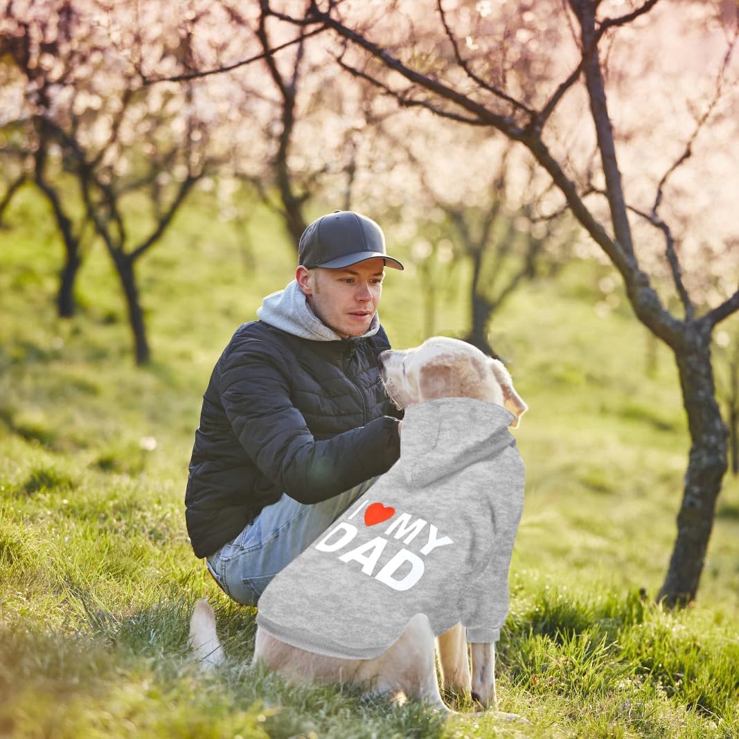 GreenJoy dog winter jacket layout demonstrating the pull on apparel structure.