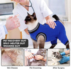 Elastic cat clothes for male and female felines post-op care