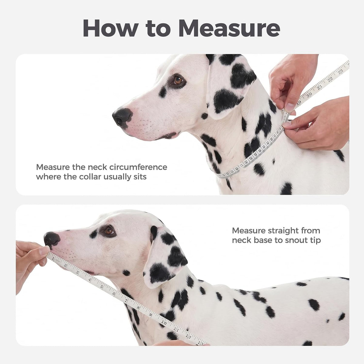 Side profile of Avont soft mesh dog recovery cone