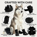 Dog wearing Furrtripsy boots during an outdoor hike