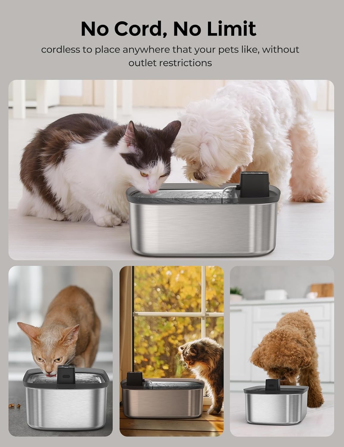 Chumajor wireless water dispenser for large dogs in a living room