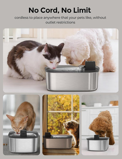 Chumajor wireless water dispenser for large dogs in a living room